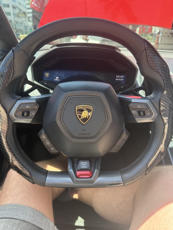 Das Lenkrad des Lamborghini mit dem Stier-Logo