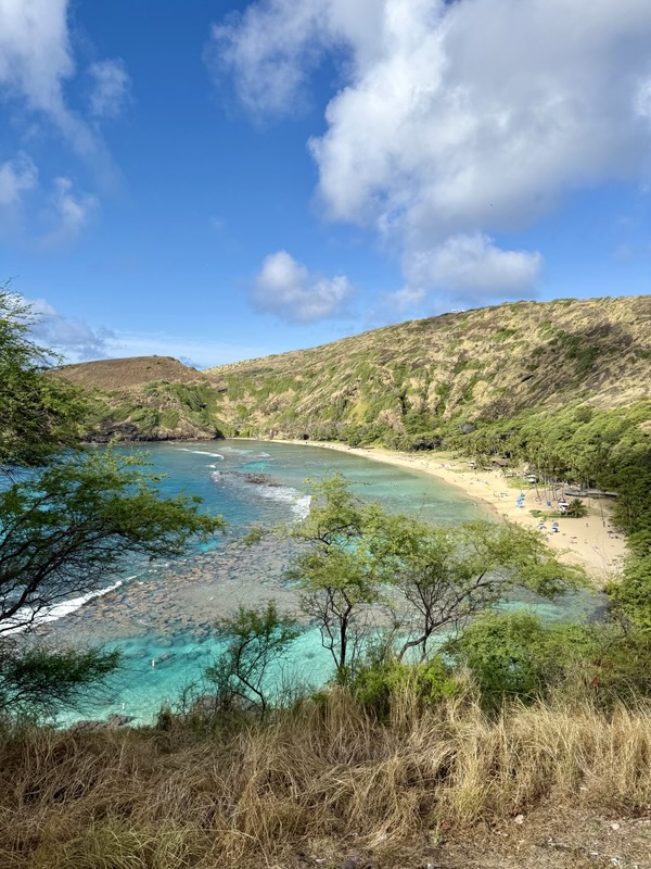 Hanauma Bay von oben mit Riff und Strand