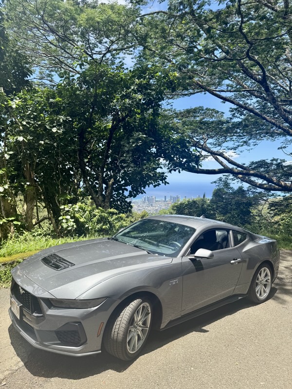 Der Mustang zwischen Bäumen am Round Top Drive